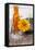 Gerbera, Flower, Orange, Glass Bottle-Andrea Haase-Framed Premier Image Canvas