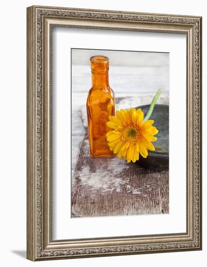 Gerbera, Flower, Orange, Glass Bottle-Andrea Haase-Framed Photographic Print