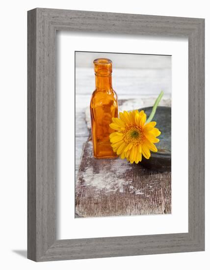 Gerbera, Flower, Orange, Glass Bottle-Andrea Haase-Framed Photographic Print