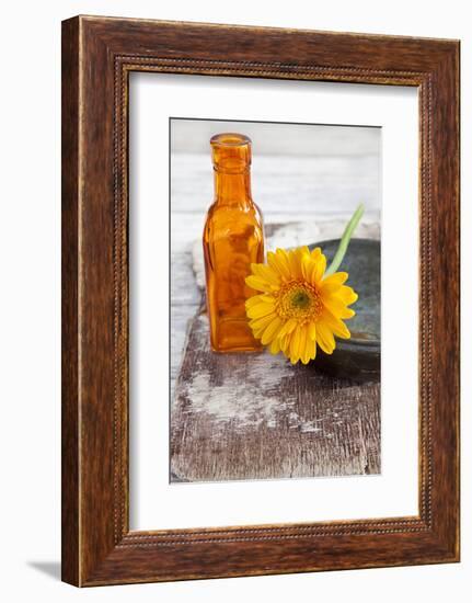 Gerbera, Flower, Orange, Glass Bottle-Andrea Haase-Framed Photographic Print