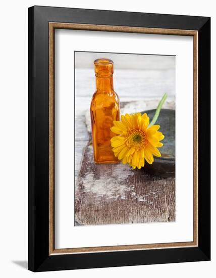 Gerbera, Flower, Orange, Glass Bottle-Andrea Haase-Framed Photographic Print