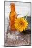 Gerbera, Flower, Orange, Glass Bottle-Andrea Haase-Mounted Photographic Print