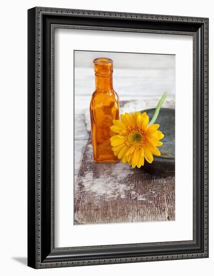 Gerbera, Flower, Orange, Glass Bottle-Andrea Haase-Framed Photographic Print