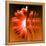 Gerbera Flower Vertical Slivers-Winfred Evers-Framed Premier Image Canvas
