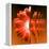 Gerbera Flower Vertical Slivers-Winfred Evers-Framed Premier Image Canvas