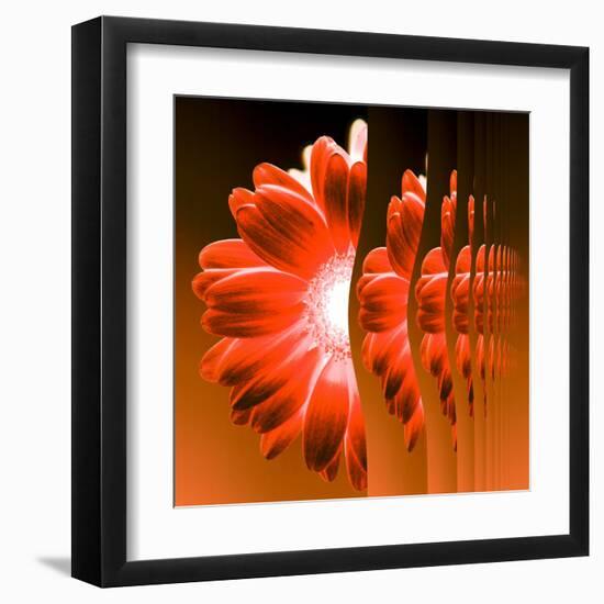Gerbera Flower Vertical Slivers-Winfred Evers-Framed Premium Photographic Print
