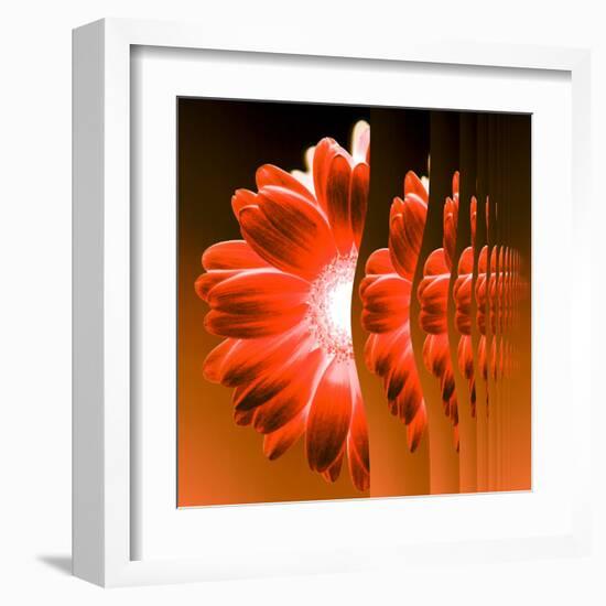 Gerbera Flower Vertical Slivers-Winfred Evers-Framed Premium Photographic Print