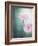 Gerbera, Flowers, Blossoms, Pink, Still Life-Axel Killian-Framed Photographic Print