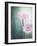 Gerbera, Flowers, Blossoms, Pink, Still Life-Axel Killian-Framed Photographic Print