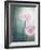 Gerbera, Flowers, Blossoms, Pink, Still Life-Axel Killian-Framed Photographic Print