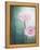 Gerbera, Flowers, Blossoms, Pink, Still Life-Axel Killian-Framed Premier Image Canvas