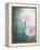 Gerbera, Flowers, Blossoms, Pink, Still Life-Axel Killian-Framed Premier Image Canvas