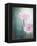 Gerbera, Flowers, Blossoms, Pink, Still Life-Axel Killian-Framed Premier Image Canvas