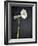 Gerbera, Flowers, Blossoms, White, Still Life-Axel Killian-Framed Photographic Print