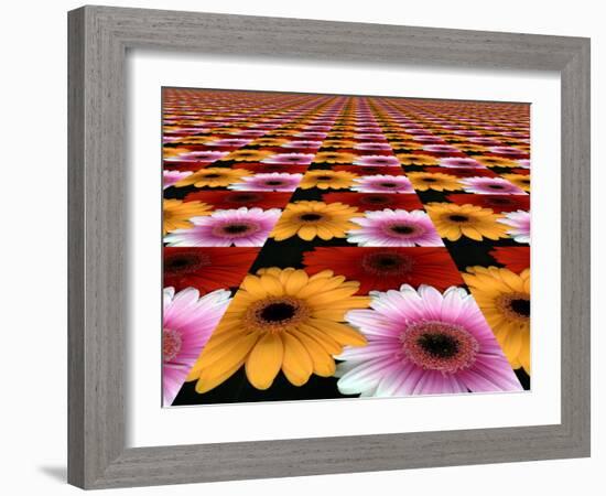 Gerbera Flowers Multiplied in Tiles-Winfred Evers-Framed Photographic Print