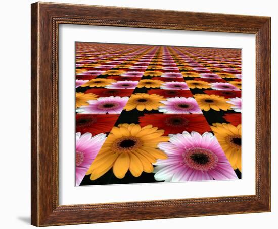 Gerbera Flowers Multiplied in Tiles-Winfred Evers-Framed Photographic Print