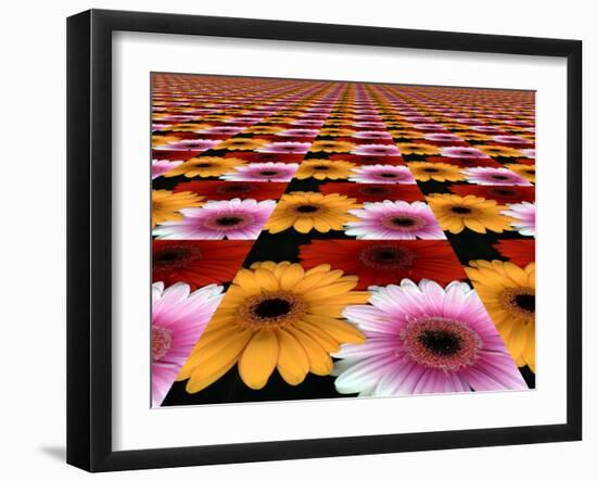 Gerbera Flowers Multiplied in Tiles-Winfred Evers-Framed Photographic Print