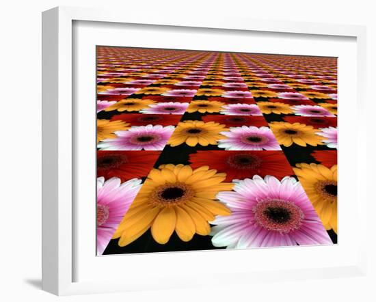 Gerbera Flowers Multiplied in Tiles-Winfred Evers-Framed Photographic Print