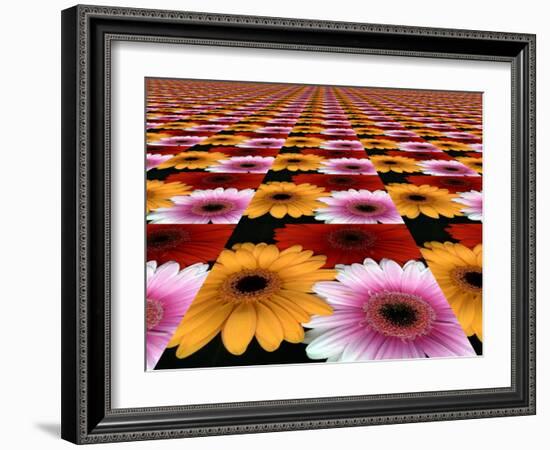 Gerbera Flowers Multiplied in Tiles-Winfred Evers-Framed Photographic Print