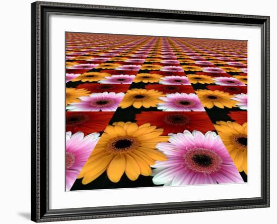 Gerbera Flowers Multiplied in Tiles-Winfred Evers-Framed Photographic Print