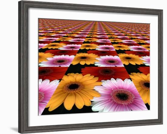 Gerbera Flowers Multiplied in Tiles-Winfred Evers-Framed Photographic Print