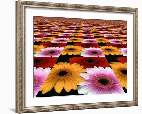 Gerbera Flowers Multiplied in Tiles-Winfred Evers-Framed Photographic Print