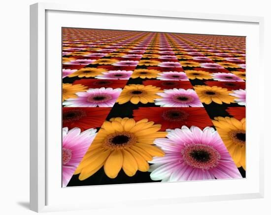 Gerbera Flowers Multiplied in Tiles-Winfred Evers-Framed Photographic Print