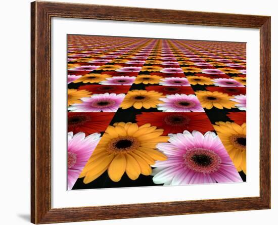 Gerbera Flowers Multiplied in Tiles-Winfred Evers-Framed Photographic Print