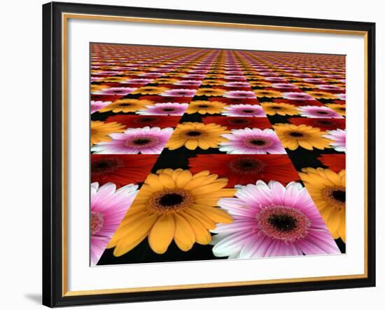 Gerbera Flowers Multiplied in Tiles-Winfred Evers-Framed Photographic Print