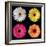 Gerbera Group I-Jim Christensen-Framed Photo