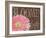 Gerbera I-Sylvia Murray-Framed Art Print