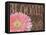 Gerbera I-Sylvia Murray-Framed Stretched Canvas