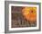 Gerbera II-Sylvia Murray-Framed Art Print