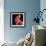 Gerbera III-Magda Indigo-Framed Photographic Print displayed on a wall