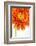 Gerbera in Orange-Uwe Merkel-Framed Photographic Print