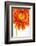 Gerbera in Orange-Uwe Merkel-Framed Photographic Print