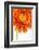 Gerbera in Orange-Uwe Merkel-Framed Photographic Print