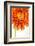 Gerbera in Orange-Uwe Merkel-Framed Photographic Print