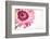 Gerbera in Rose-Uwe Merkel-Framed Photographic Print