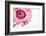 Gerbera in Rose-Uwe Merkel-Framed Photographic Print