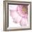 Gerbera in Rose-Uwe Merkel-Framed Photographic Print