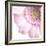 Gerbera in Rose-Uwe Merkel-Framed Photographic Print