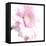 Gerbera in Rose-Uwe Merkel-Framed Premier Image Canvas