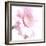 Gerbera in Rose-Uwe Merkel-Framed Photographic Print