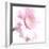 Gerbera in Rose-Uwe Merkel-Framed Photographic Print