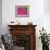 Gerbera, Shocking Pink, United Kingdom-Steve & Ann Toon-Framed Photographic Print displayed on a wall