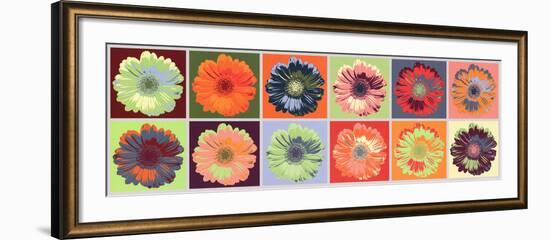 Gerbera Spectrum-null-Framed Art Print