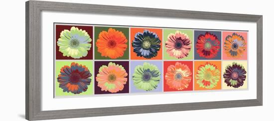 Gerbera Spectrum-null-Framed Art Print