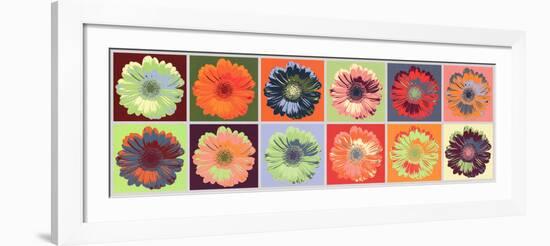 Gerbera Spectrum-null-Framed Art Print