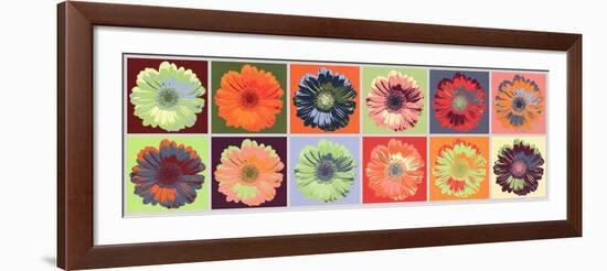 Gerbera Spectrum-null-Framed Art Print